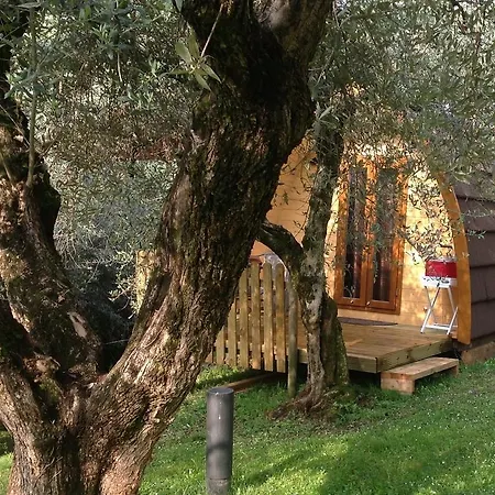 Gardasee With Pool Bed & Breakfast Soiano Del Lago